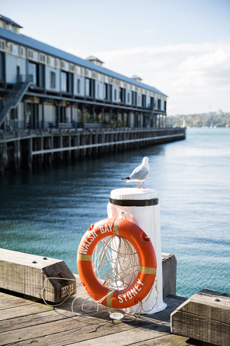 Sydney lifestyle - harbour 72
